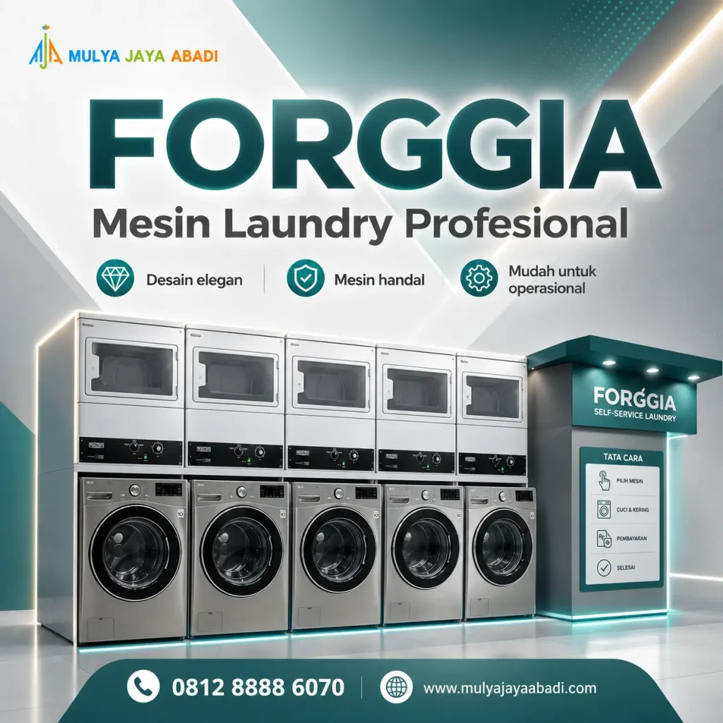 Mesin Laundry Forggia